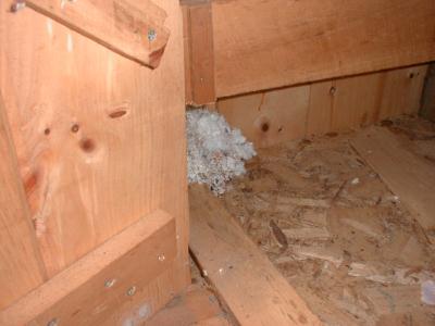Mouse nest in back of cabinet.